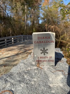 Moores-Creek-Battlefield-ABOSA