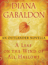 A_Leaf_cover-ibookstore