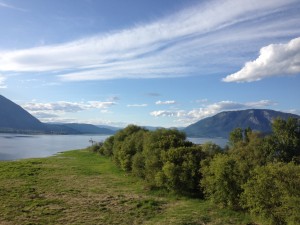 Salmon Arm