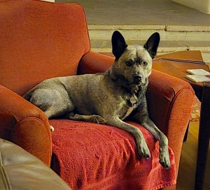 2025-12-22-Comfy-Arby-crop