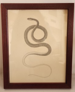 2026-04-22-Diana-snake-pic